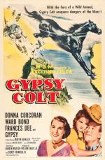 Gypsy - the Horse