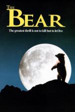 The Kodiak Bear