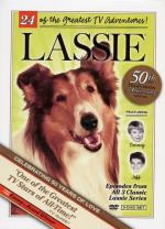 Lassie / Dog