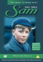 Sam Wilson / Young Sam Wilson / Sam Wilson, as a boy